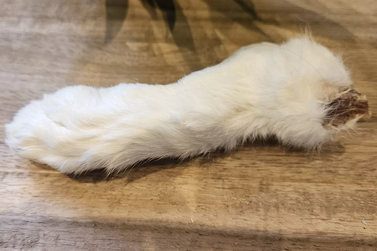 rabbit feet for dogs, natural dog chews, hypoallergenic dog treats, low fat dog chews, dental chews for dogs, grain free dog treats, novel protein dog chews