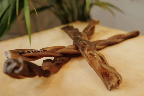 camel skin dog chew, hypoallergenic dog treats, long lasting chews, Camel skin braided dog chew