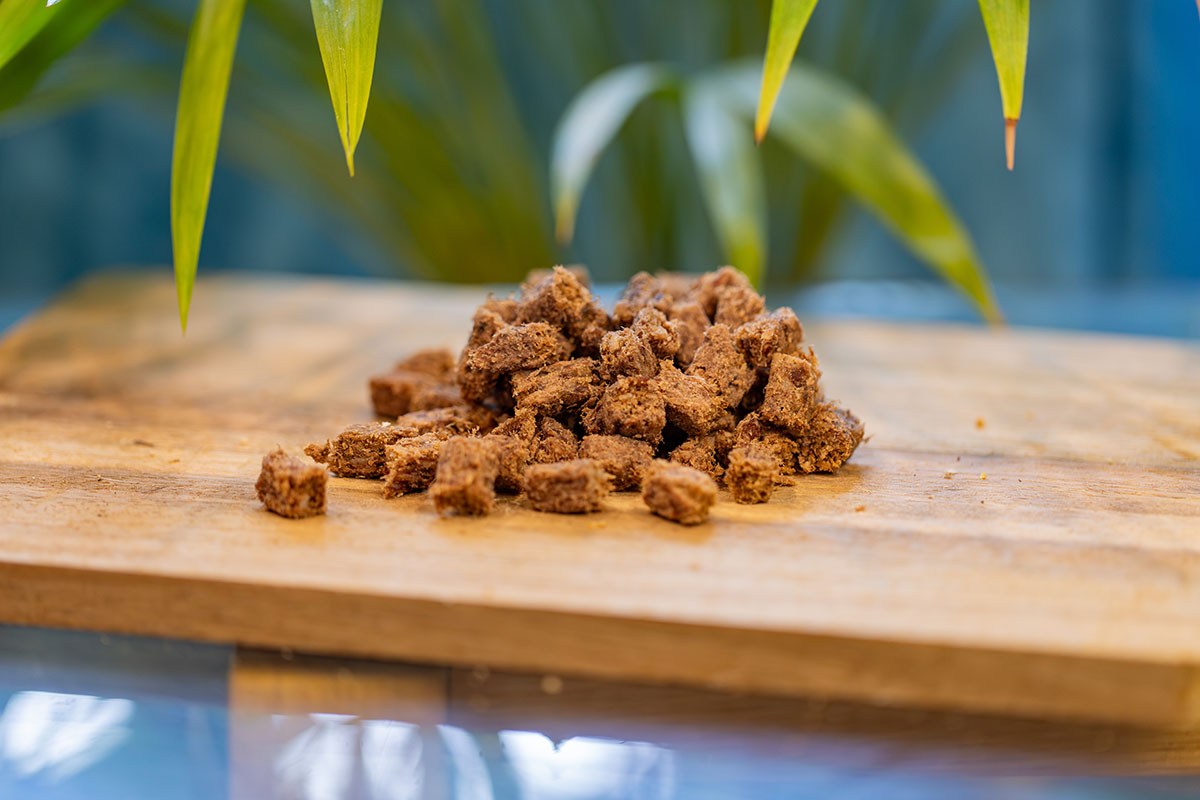 Boar Training Treats