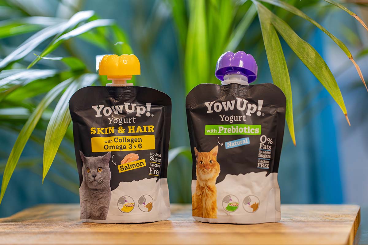 Yow Up Yogurt for Cats