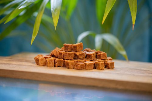 Salmon Cubes Freeze Dried